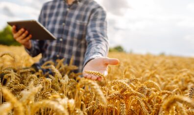 How to Choose the Right Insurance Provider for Your Farm
